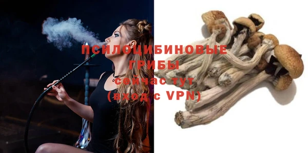 соль ск Абдулино